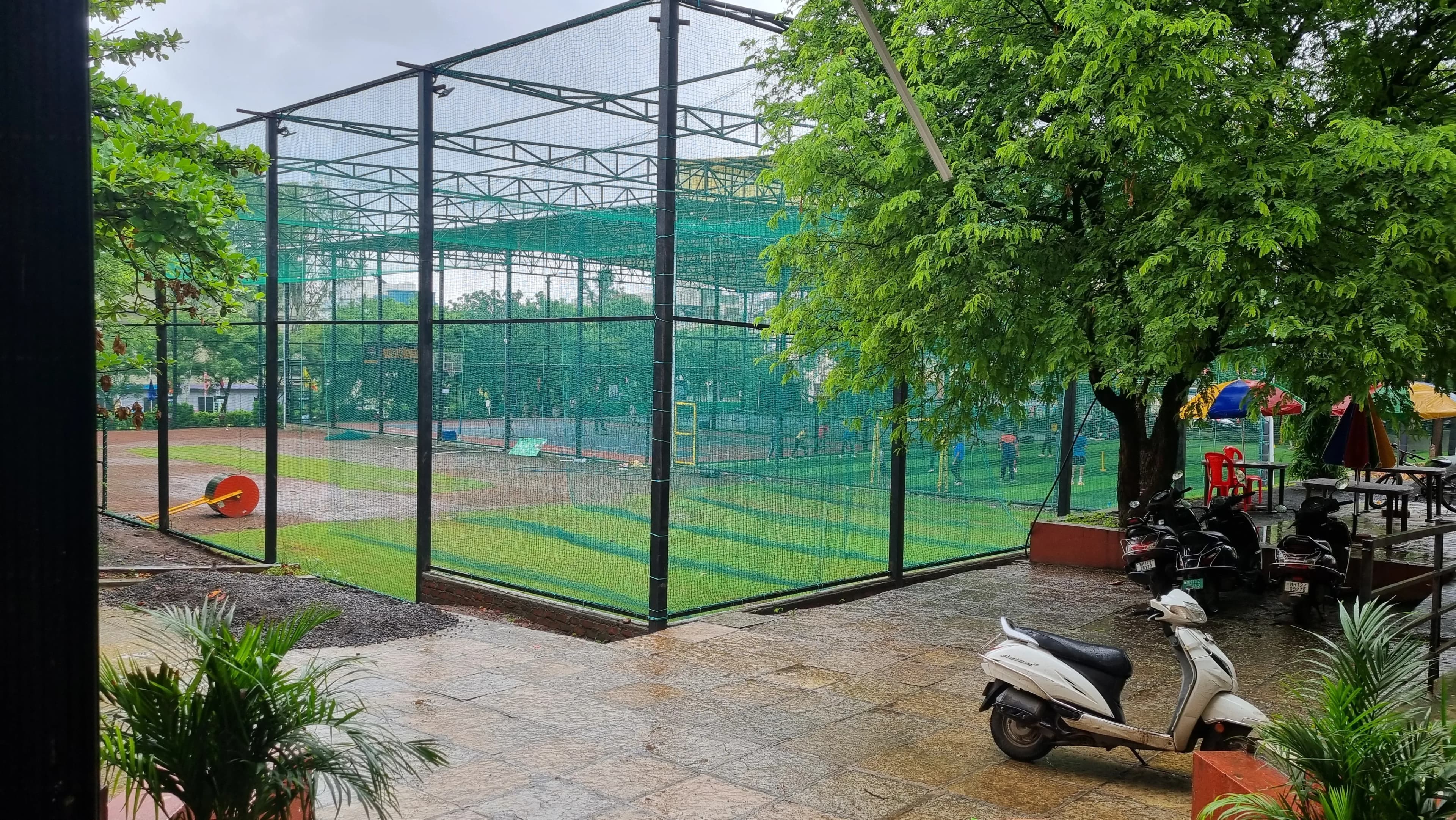 Green outdoor sports enclosure beside a large tree on a rainy day